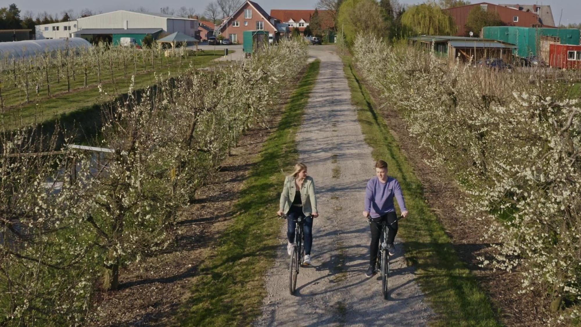 Fewo Obsthof Matthies Jork Exterior foto